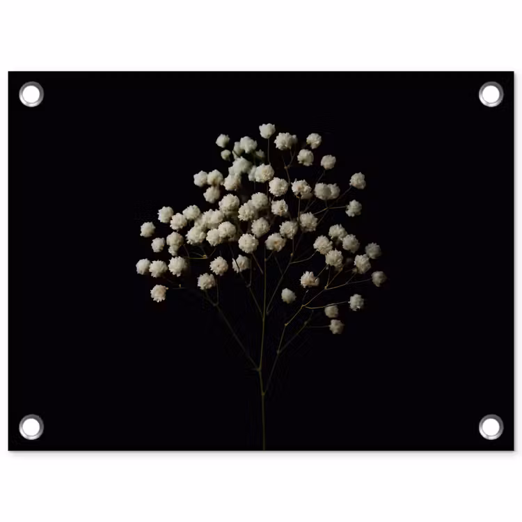 Tuinposter - Gipskruid - Bloemetjes - Wit - Minimalistisch — 1