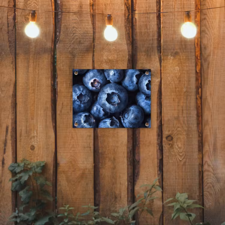Tuinposter - Bessen - Blauw - Fruit — 2