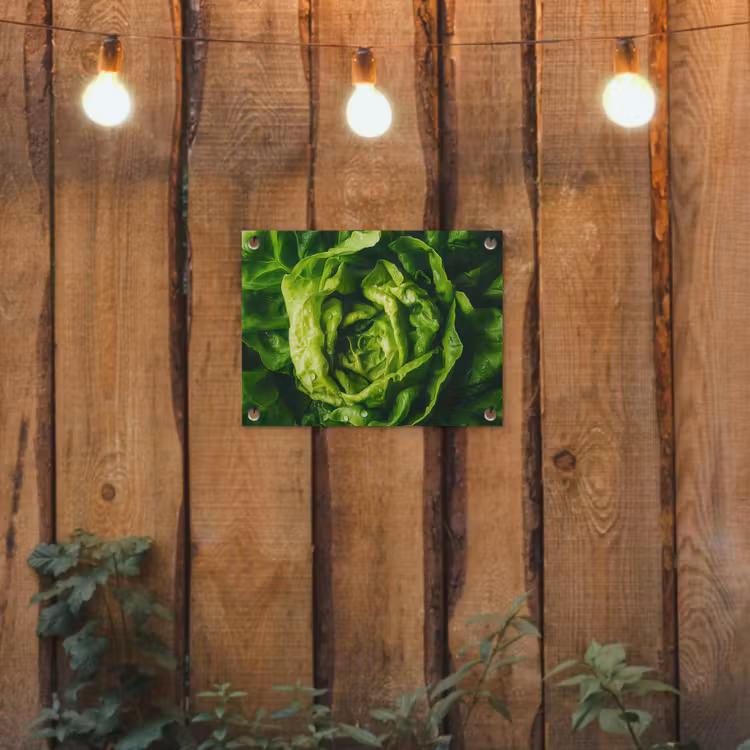 Tuinposter - Groente - Sla - Groen — 2