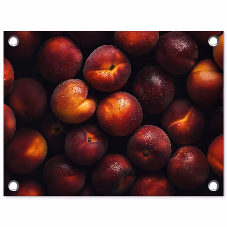 Tuinposter - Fruit - Close up - Nectarines — 1