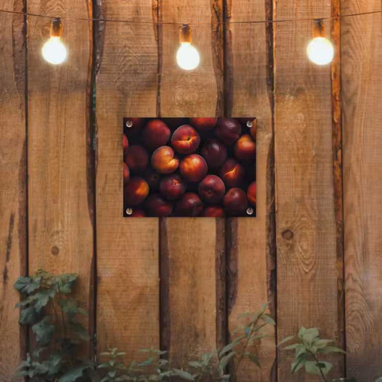 Tuinposter - Fruit - Close up - Nectarines — 2
