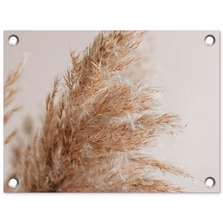 Tuinposter - Gras - Planten - Natuur - Pampasgras — 1