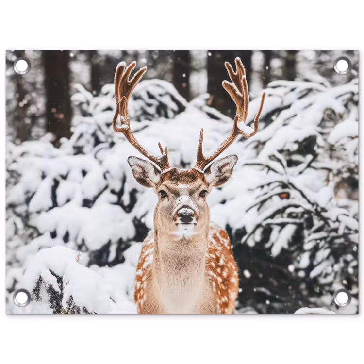 Tuinposter - Hert - Sneeuw - Winter - Bos - Dieren — 1