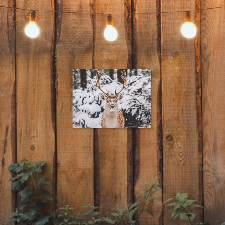 Tuinposter - Hert - Sneeuw - Winter - Bos - Dieren — 2