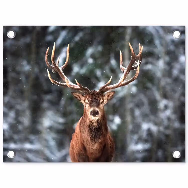 Tuinposter - Hert - Winter - Sneeuw - Bos - Natuur - Dier — 1