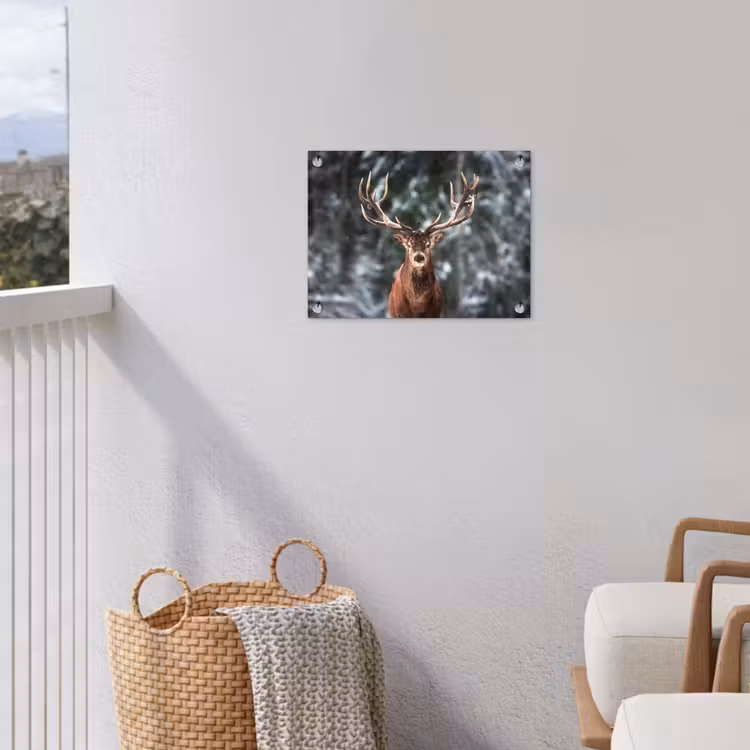 Tuinposter - Hert - Winter - Sneeuw - Bos - Natuur - Dier — 3