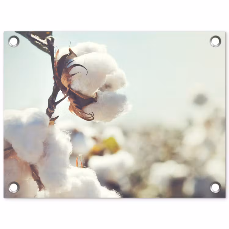 Tuinposter - Planten - Bloem - Tak - Natuur — 1