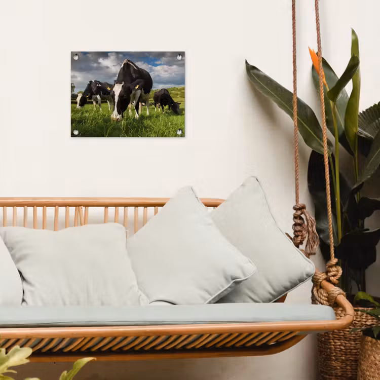 Tuinposter - Koeien - Dieren - Gras - Weiland - Boerderij — 5