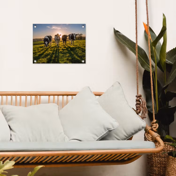 Tuinposter - Koeien - Zon - Gras - Dieren - Boerderij — 5