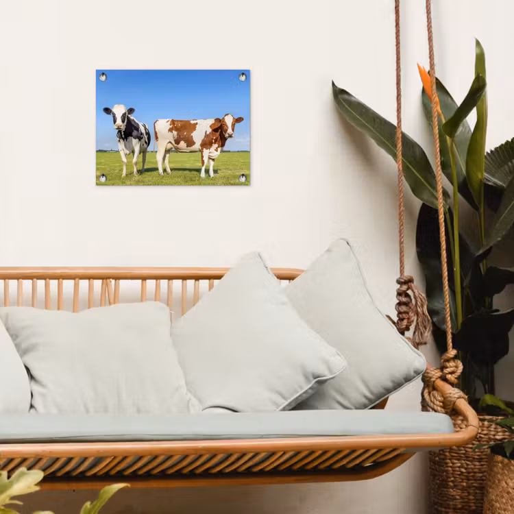 Tuinposter - Koeien in de Weide — 5