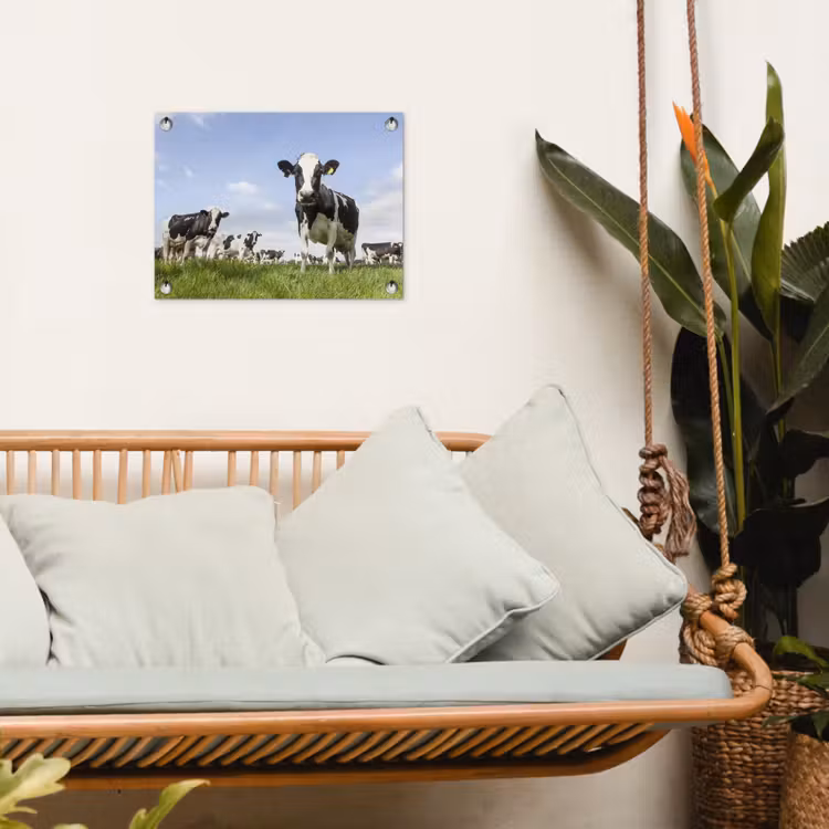 Tuinposter - Koeien in de weide onder een heldere lucht — 5