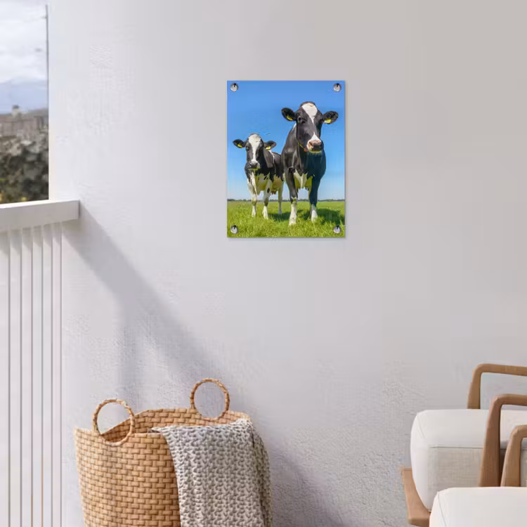 Tuinposter - Koeien op een zonnige dag in de wei — 3