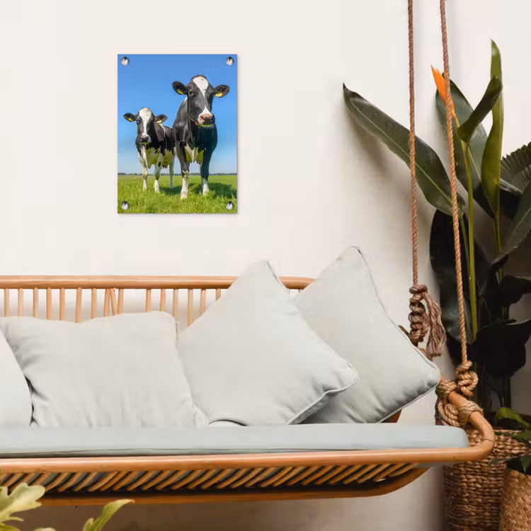 Tuinposter - Koeien op een zonnige dag in de wei — 5