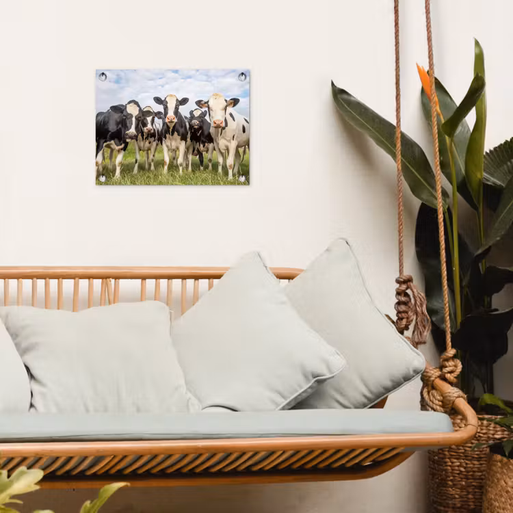 Tuinposter - Koeien - Weiland - Dieren - Natuur - Gras — 5