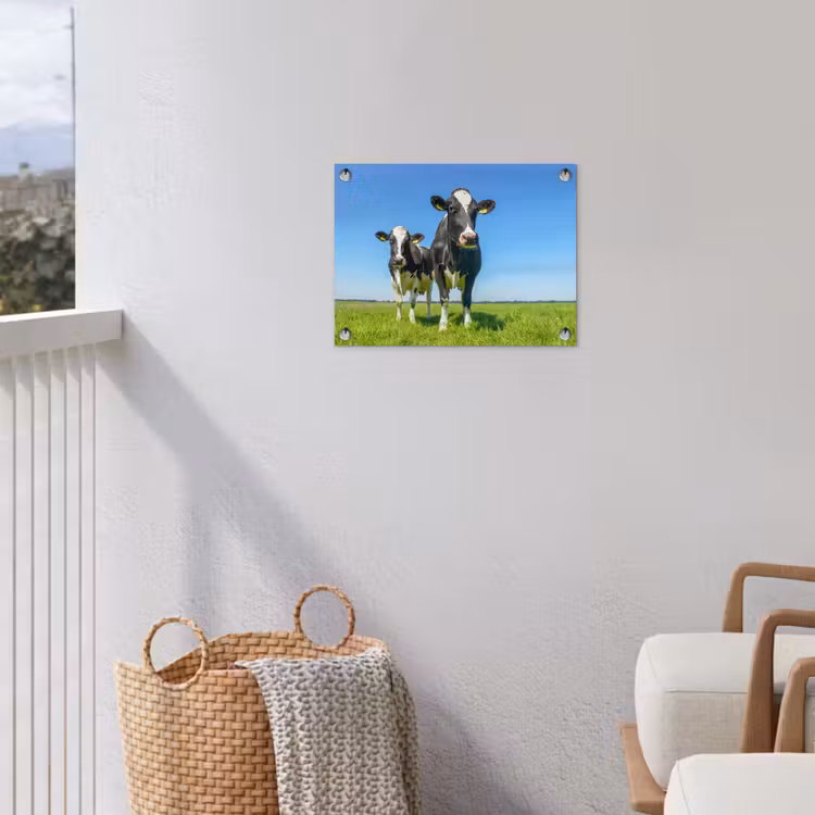 Tuinposter - Koeien - Weiland - Gras - Dieren - Boerderij — 3