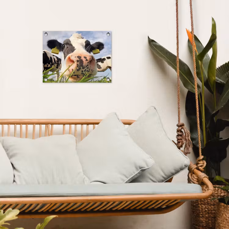 Tuinposter - Nieuwsgierige koe in close-up — 5