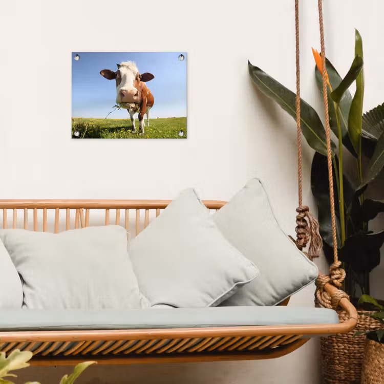 Tuinposter - Koe in de Weide — 5