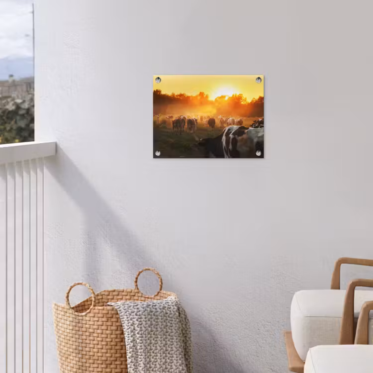 Tuinposter - Koeien bij Zonsondergang — 3