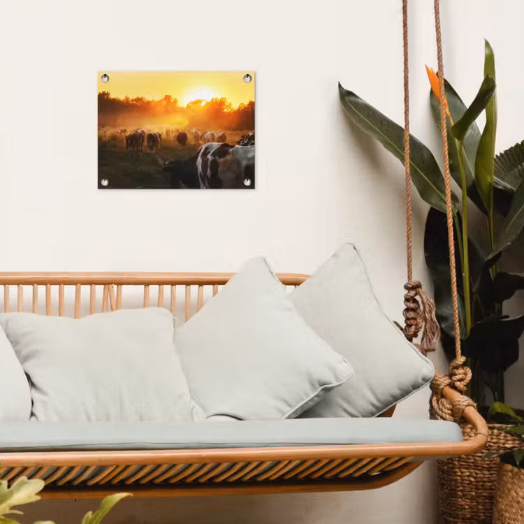Tuinposter - Koeien bij Zonsondergang — 5