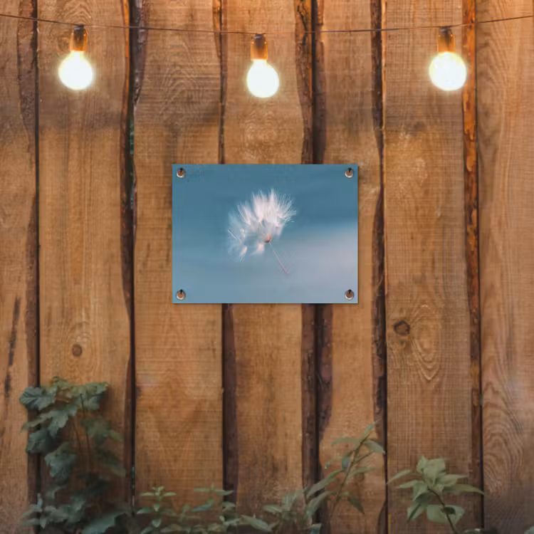 Tuinposter - Paardenbloempluisje - Blauw - Lucht — 2