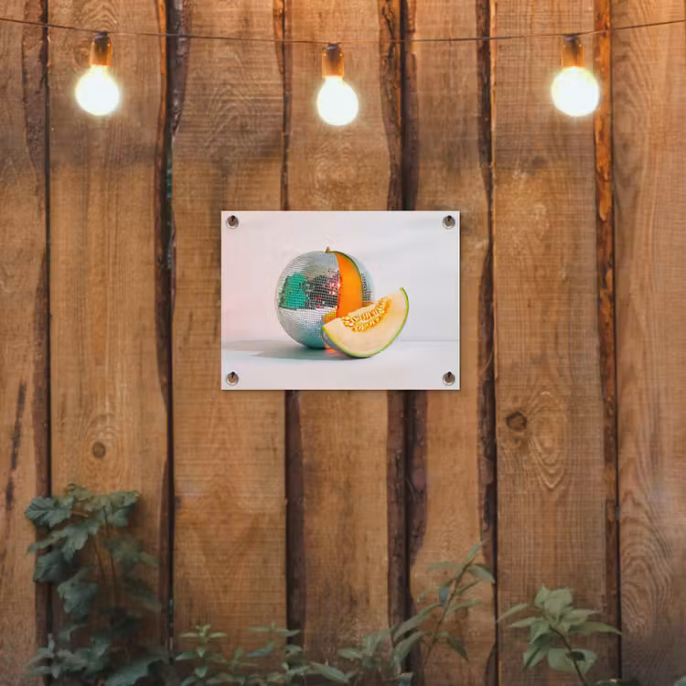 Tuinposter - Disco - Discobal - Meloen - Pastel — 2