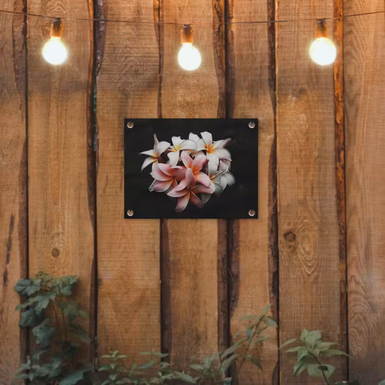 Tuinposter - Bloemen - Roze - Zwart - Flora - Botanisch — 2