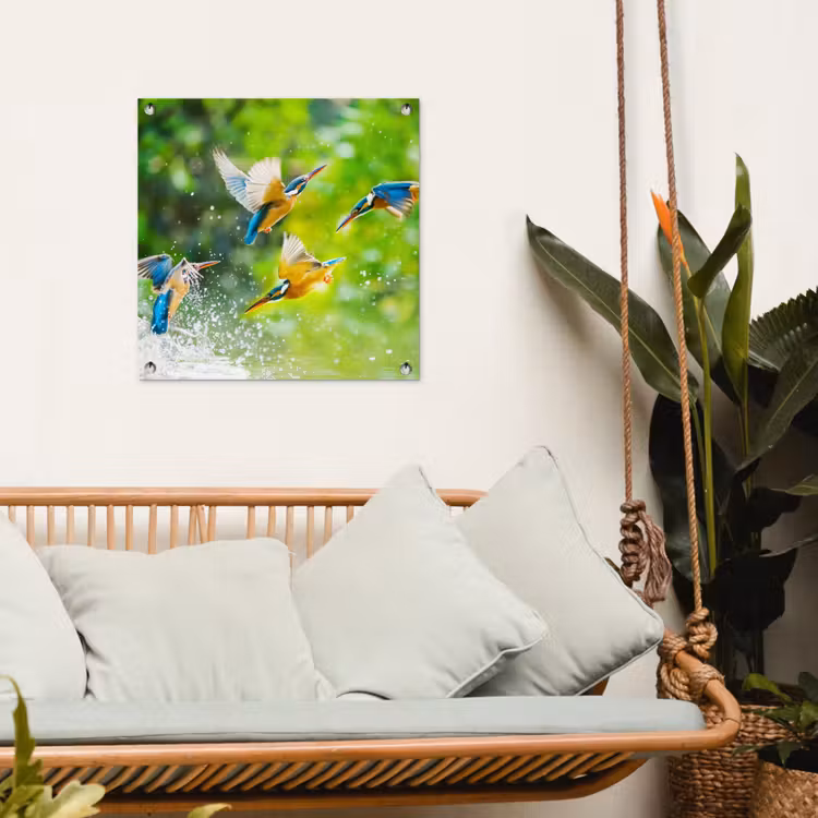 Tuinposter - IJsvogels vliegen in het water — 5