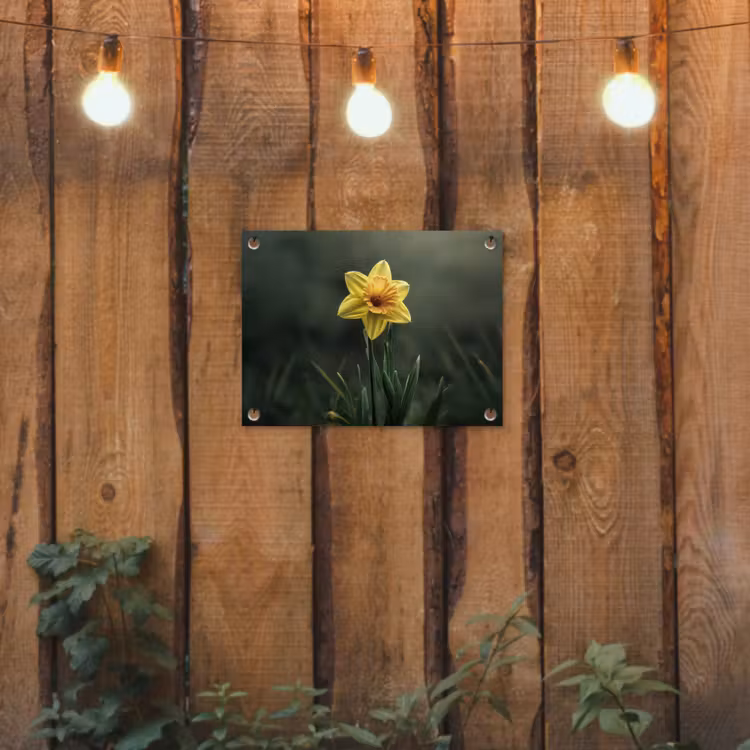 Tuinposter - Bloem - Narcis - Gras - Geel — 2