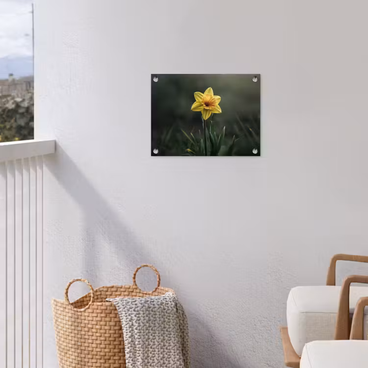 Tuinposter - Bloem - Narcis - Gras - Geel — 3