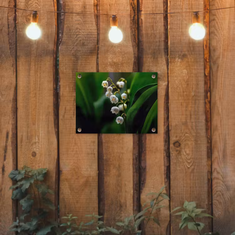 Tuinposter - Bloemen - Wit - Bladeren - Lelietjes — 2