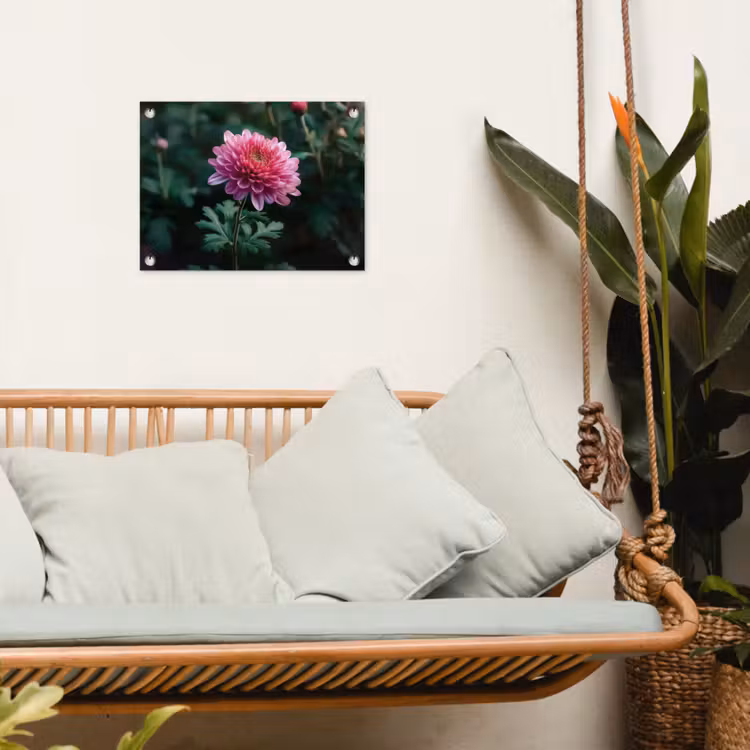 Tuinposter - Blad - Chrysant - Roze - Schaduw — 5
