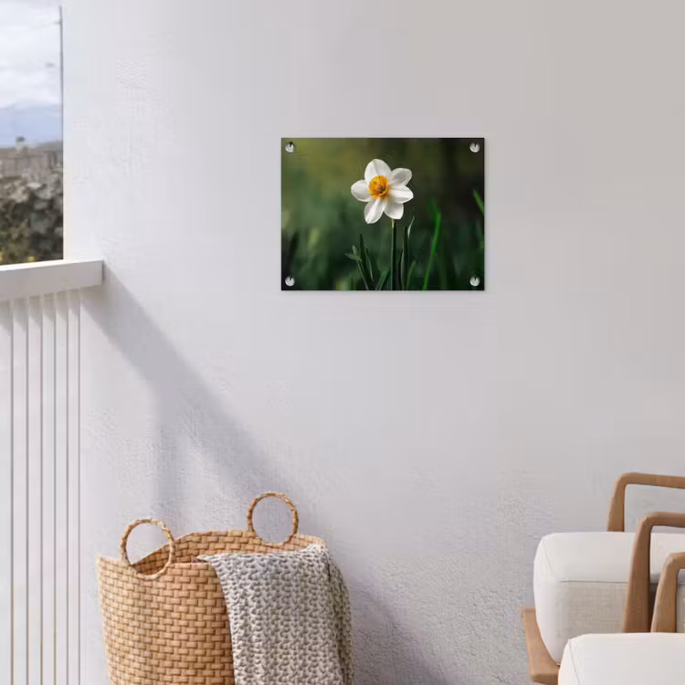 Tuinposter - Narcis - Bloem - Wit - Grassprieten — 3