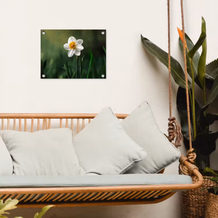 Tuinposter - Narcis - Bloem - Wit - Grassprieten — 5