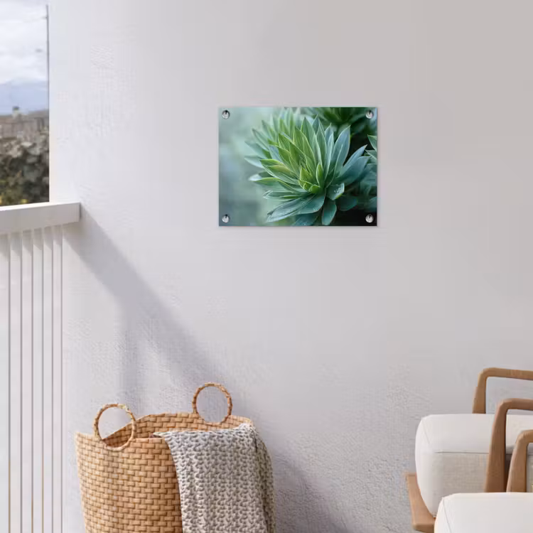 Tuinposter - Blad - Plant - Groen - Textuur — 3