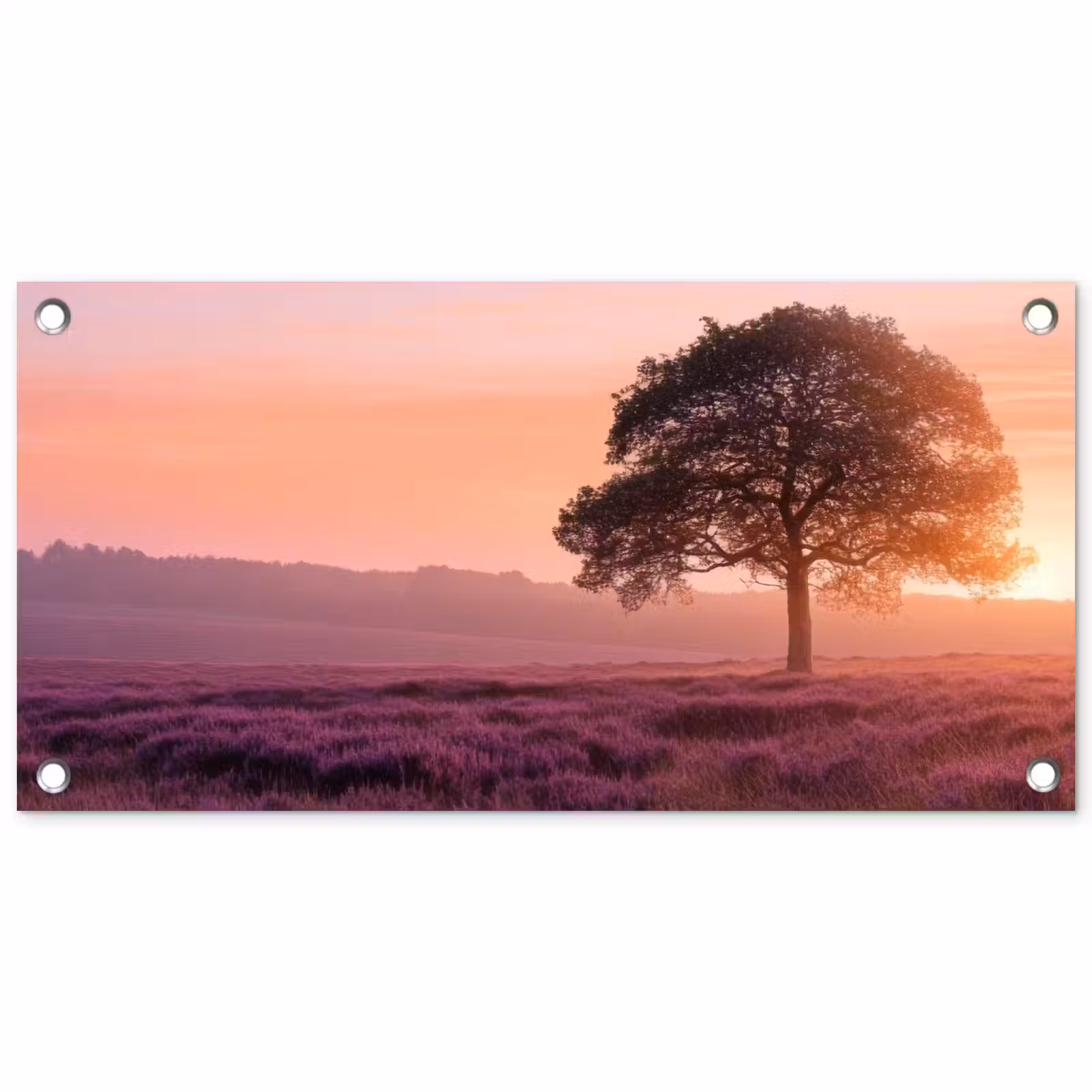 Tuinposter - Boom - Heide - Zonsopgang — 1