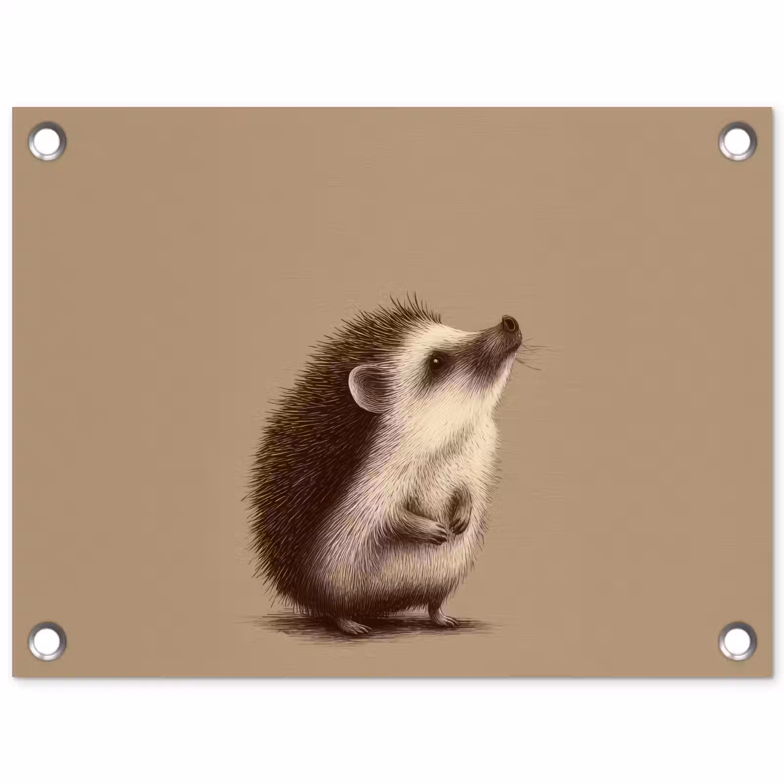 Tuinposter - Egel - Snuitje - Bruin - Stekels — 1