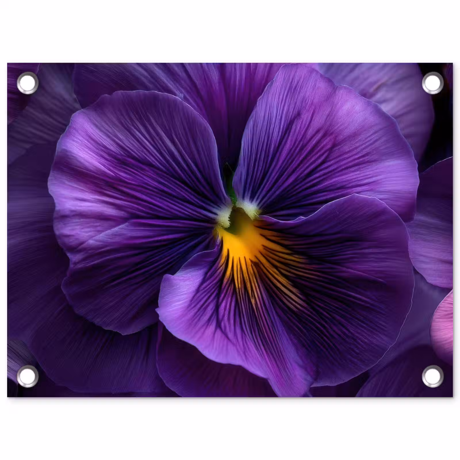 Tuinposter - Paars - Viool - Diepte — 1