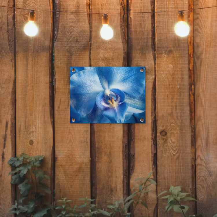 Tuinposter - Blauw - Orchidee - Elegeant — 2