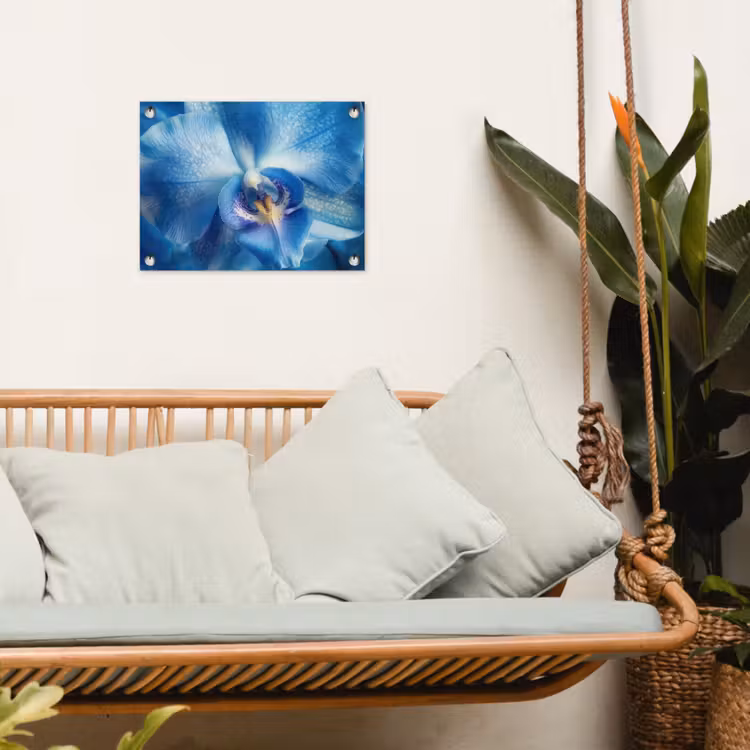 Tuinposter - Blauw - Orchidee - Elegeant — 5