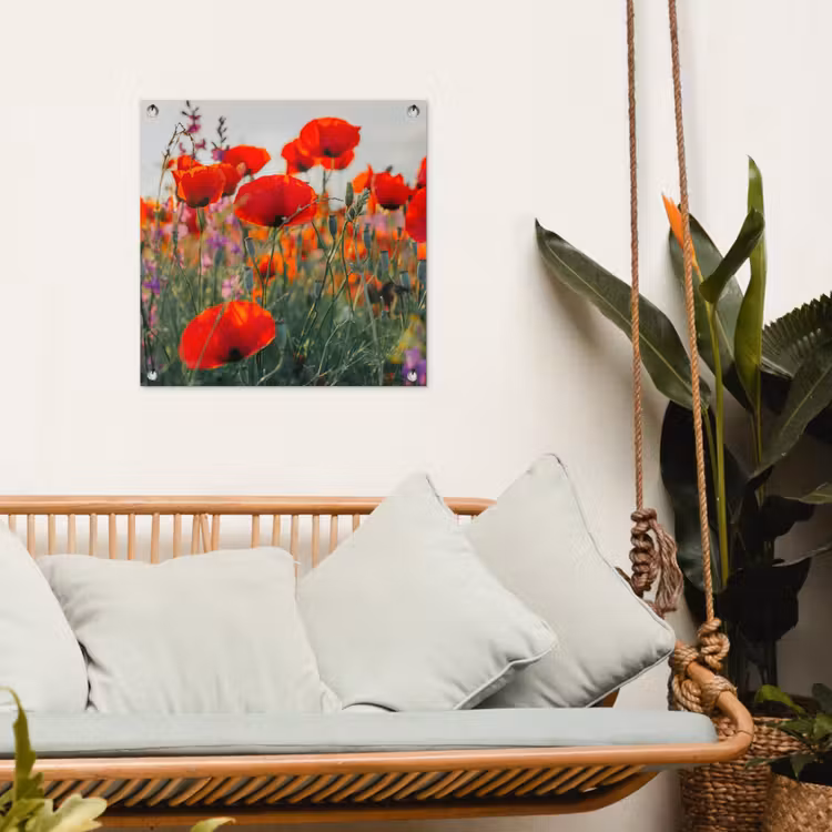 Tuinposter - Bloeipracht van Klaprozen — 5
