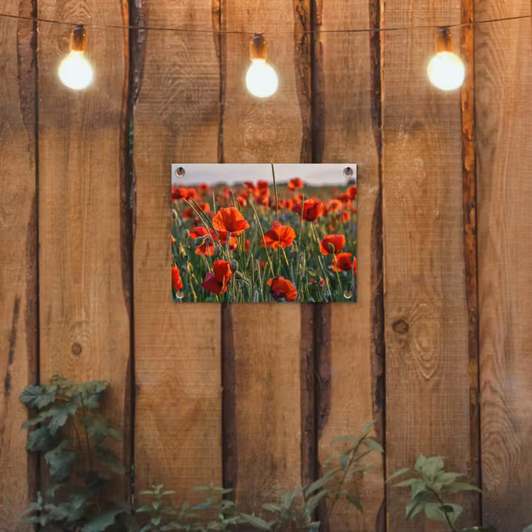 Tuinposter - Bloemen - Klaprozen - Natuur - Rood — 2
