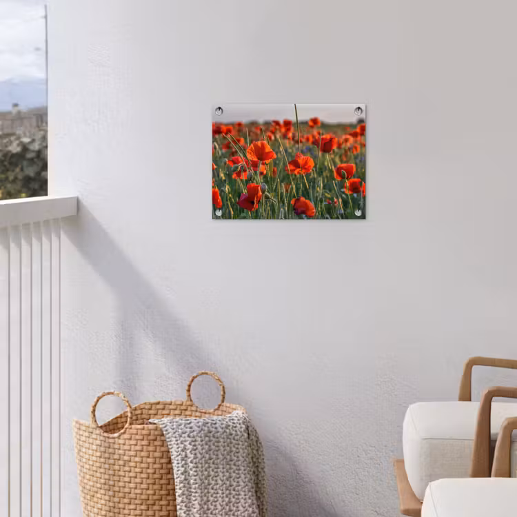 Tuinposter - Bloemen - Klaprozen - Natuur - Rood — 3