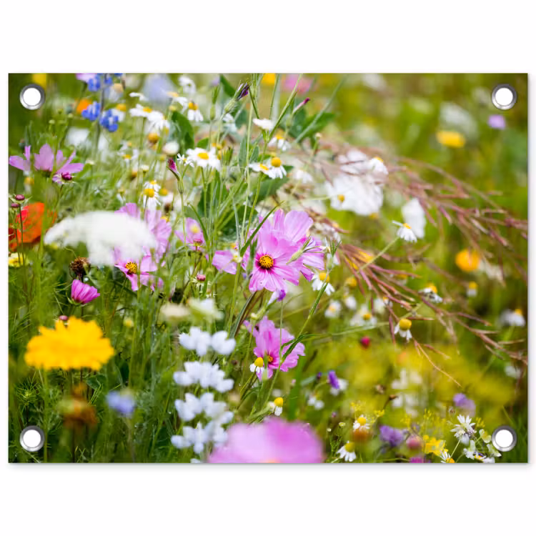 Tuinposter - Bloemen - Natuur - Groen - Gras - Paars - Wit — 1