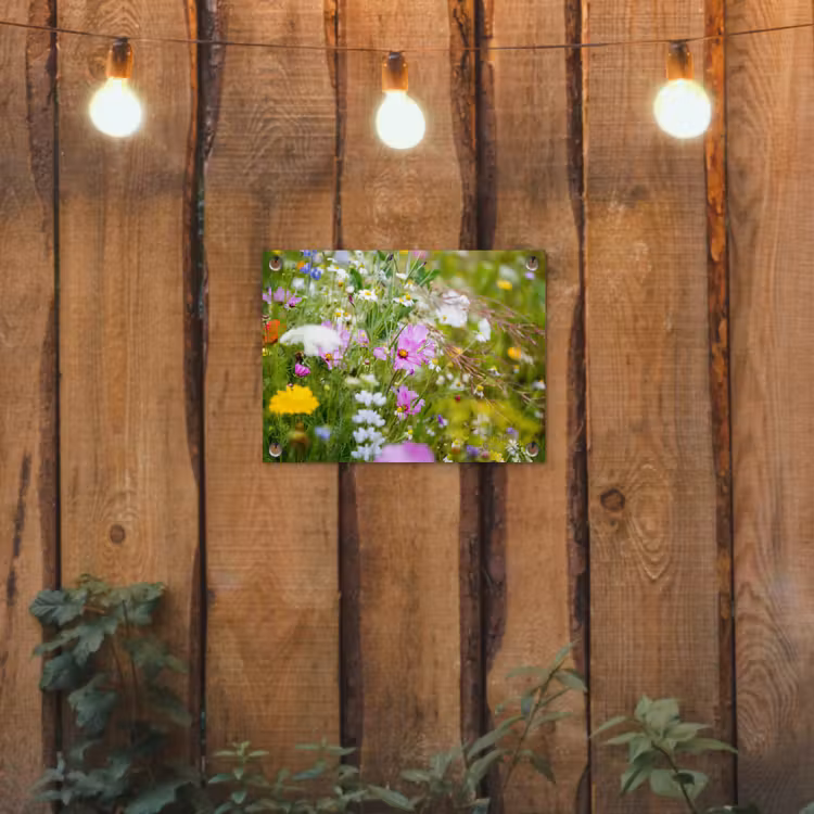 Tuinposter - Bloemen - Natuur - Groen - Gras - Paars - Wit — 2