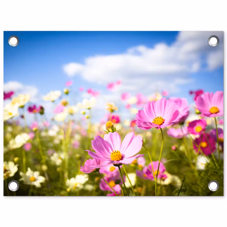 Tuinposter - Bloemen - Wei - Paars - Gras - Wit - Wolken - Blauw — 1