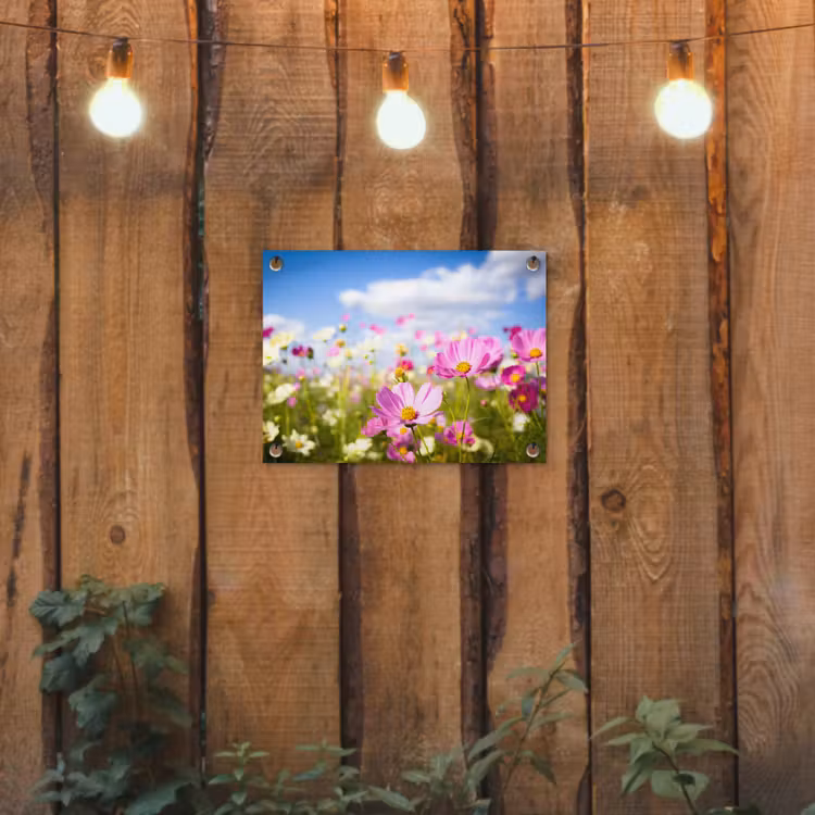 Tuinposter - Bloemen - Wei - Paars - Gras - Wit - Wolken - Blauw — 2
