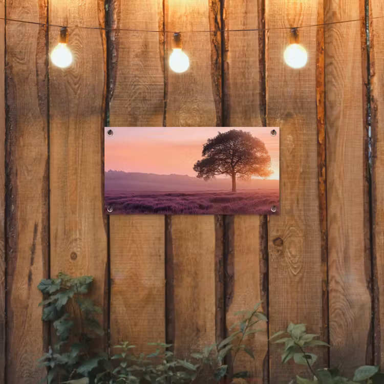 Tuinposter - Boom - Heide - Zonsopgang — 2