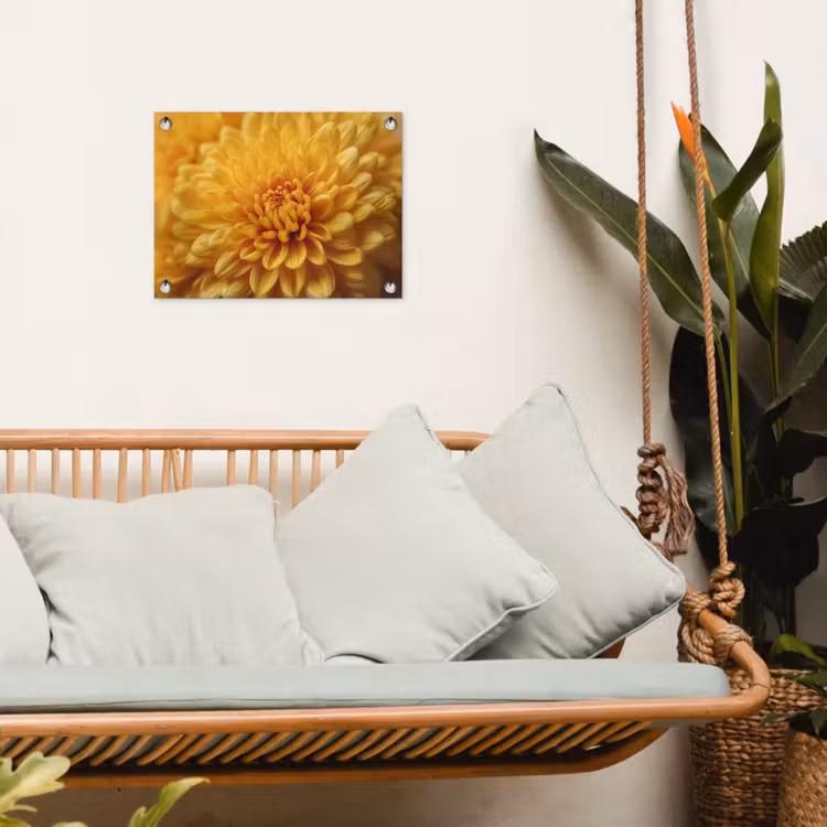 Tuinposter - Geel - Chrysant - Zachtheid — 5