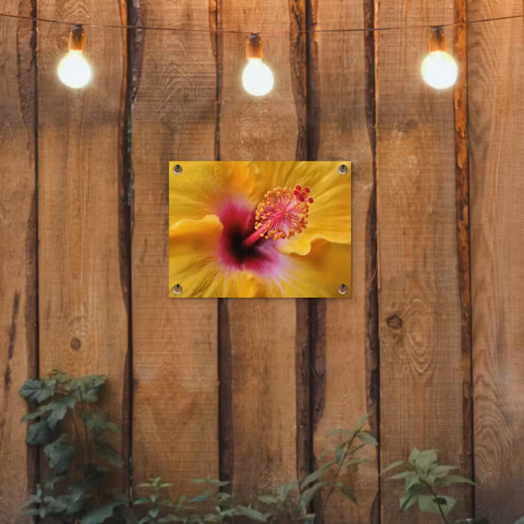Tuinposter - Geel - Hibiscus - Tropisch — 2
