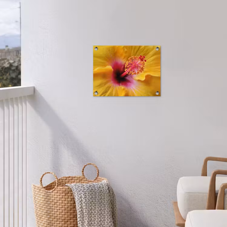 Tuinposter - Geel - Hibiscus - Tropisch — 3